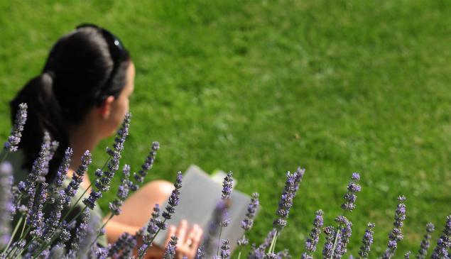 Una donna legge seduta su un piato fiorito