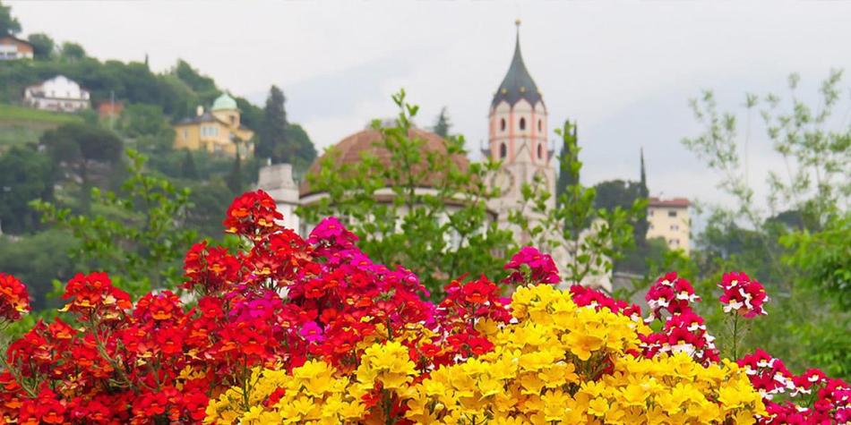 Meran in spring