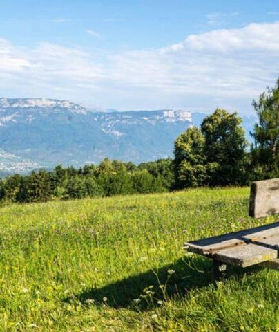 Una panchina in legno su un prato fiorito con vista sulla valle e sulle montagne circostanti.